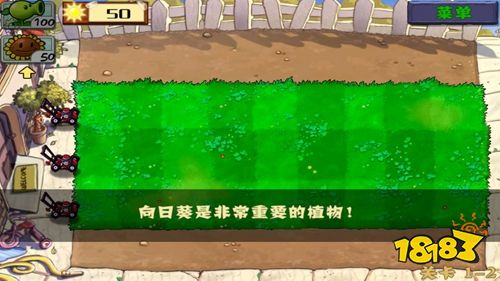 植物大戰(zhàn)僵尸中文版下載