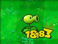 植物大戰(zhàn)僵尸中文版下載