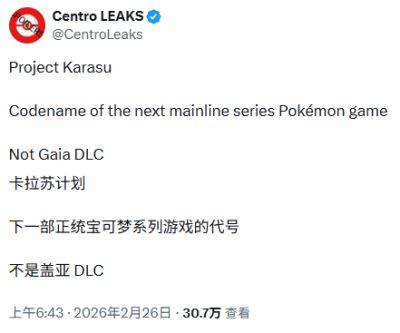 宝可梦第十世代新作开发代号曝光 乌鸦项目独立于风浪