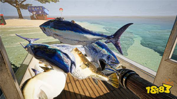 禁忌海猎Umigari手机版