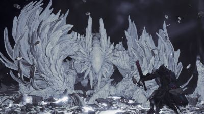 怪物猎人荒野一周年更新公布 强敌与联动活动来袭