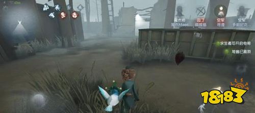 第五人格最新版2026版下载