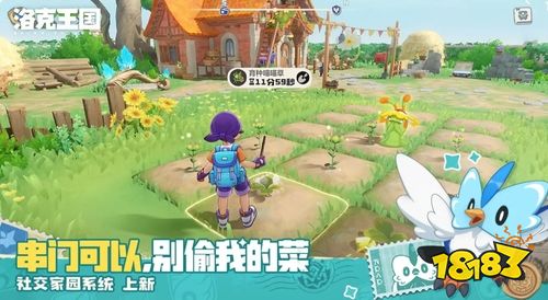 洛克王国世界水晶屋隐藏秘境怎么玩 彼得大道水晶球收集与炼金谜题详解