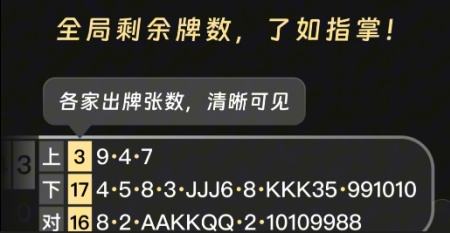 跑得快自動記牌器有哪些 跑得快自動記牌器推薦