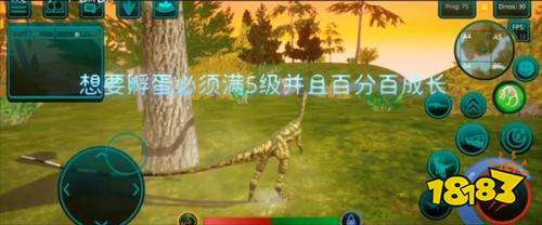 詛咒之島2026最新版下載