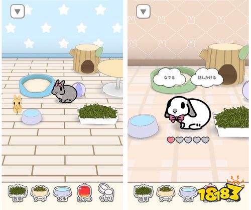 治愈系兔子养成手游《兔兔相随》开启预约！边养兔边学习真实养宠知识