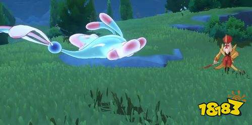 洛克王国世界彩蝶鲨进化路线详解 彩蝶鲨两种形态获取攻略