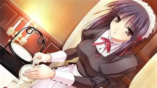 精品汉化slg游戏直装版排行榜 国风精品汉化slg游戏直装版大全