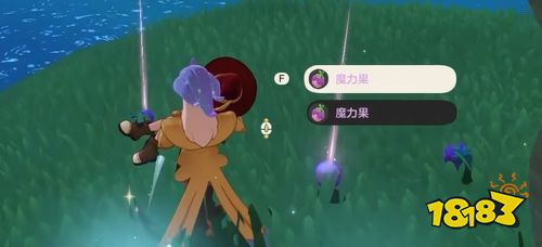 洛克王国世界魔力果获取攻略 魔力果作用与多种获得渠道详解