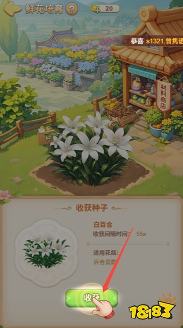 我的花园世界官方正版下载