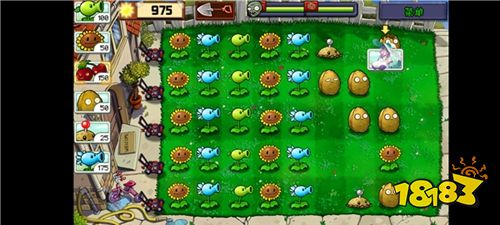 植物娘大战僵尸最新版下载
