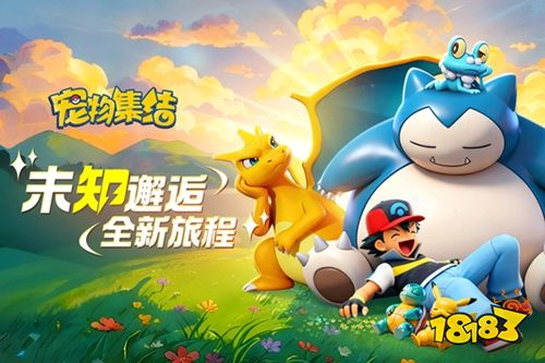 口袋觉醒互通版下载