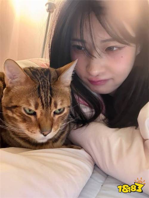 蜜糖直播最新版