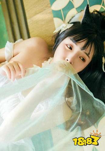 秋月直播2026最新V.9.67.6.6