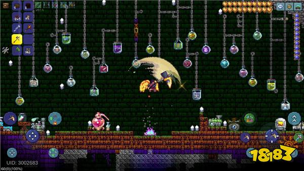 十四年了，你的《泰拉瑞亚》还在用「刹不住车」的热情做更新