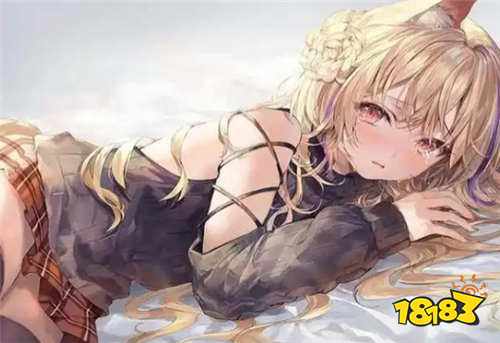 绅士向游戏大全