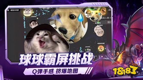 在哪玩球球大作战感受藏在指尖的竞技乐趣？ 球球大作战2026全新玩法解锁无限可能！ 