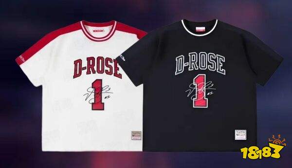 美职篮巅峰对决九游版官网版