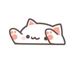 Bongo Cat站起来了！快来《敲敲打宝》扮演猫猫英雄拯救世界