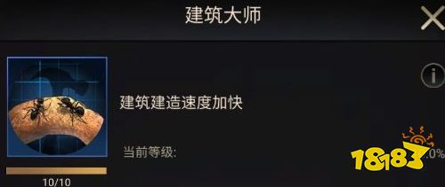 《小小蚁国》初期进化选择类型推荐