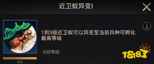 《小小蚁国》初期进化选择类型推荐