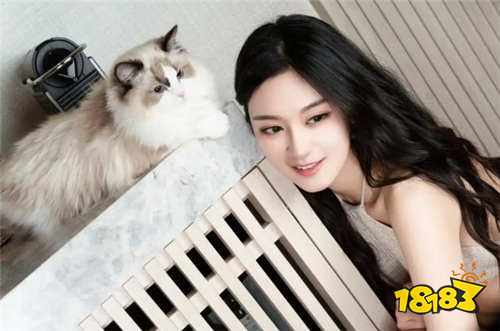 深夜看视频直播软件推荐 可以看各种直播平台的软件盘点