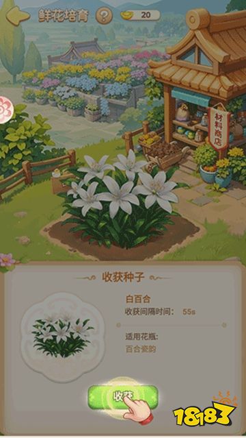 我的花园世界最新版2026下载