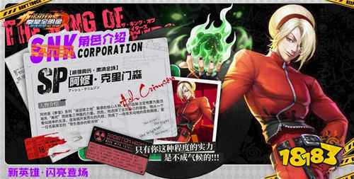 拳魂觉醒手游满级vip版