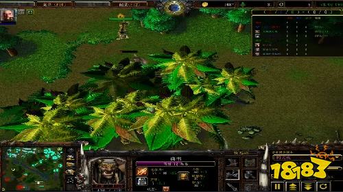 魔兽争霸3真三国无双怎么玩 魔兽争霸3真三玩法介绍