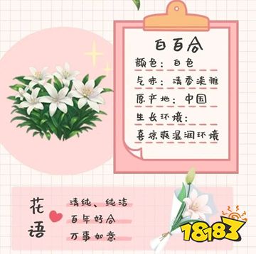 我的花园世界官方安卓版