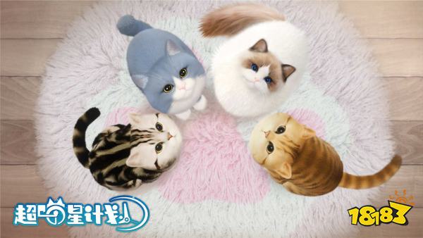 2026超好玩的关于猫的解压游戏合集