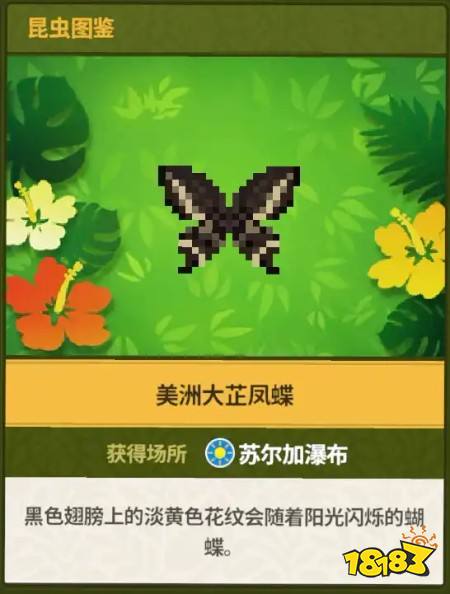 《潜水员戴夫》丛林dlc昆虫图鉴100%全收集保姆级攻略