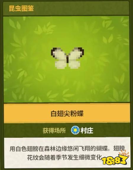 《潜水员戴夫》丛林dlc昆虫图鉴100%全收集保姆级攻略