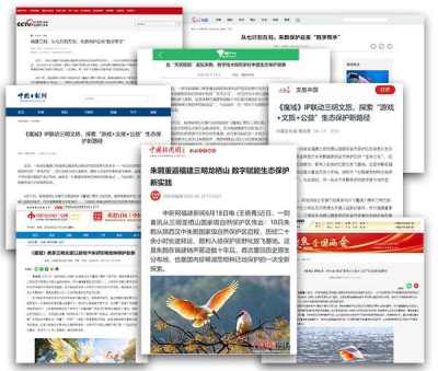 官媒集体点赞！《魔域》联动三明文旅守护朱鹮