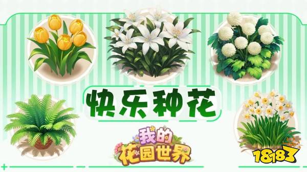 我的花园世界摸花每天最多摸几次 我的花园世界友情币摸花上限攻略