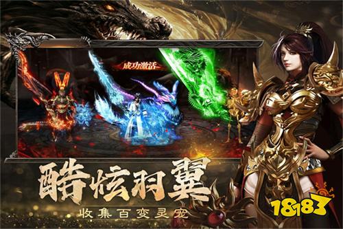 烈焰觉醒道士开荒怎么3天速通100级 神兽抗伤+施毒无伤刷怪路线