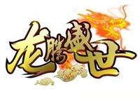 传奇世界私服龙腾盛世