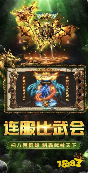 三界无双复古单职业下载