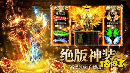 将王之王九职业传奇