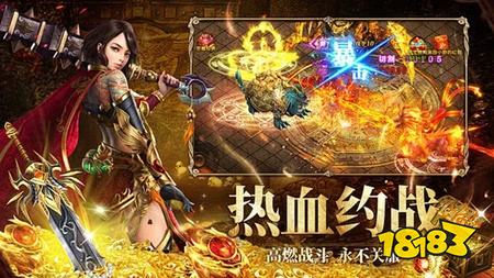 将王之王九职业传奇