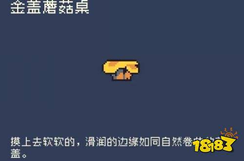 多洛可小镇蘑菇节玩法详解 多洛可小镇蘑菇节玩法攻略