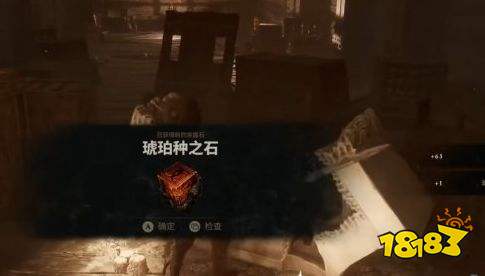 致命躯壳2琥珀种之石位置一览 致命躯壳2琥珀种之石获取方法介绍