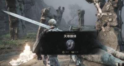 致命躯壳2寡妇崖天尊腺体