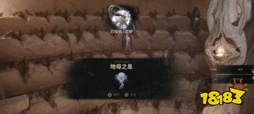 致命躯壳2地母之息传送解锁方法 致命躯壳2地母之息传送解锁教程