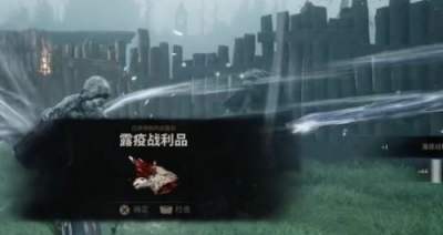 致命躯壳2露疫战利品获得