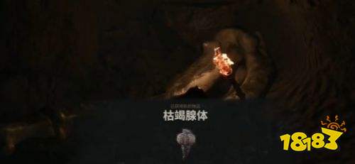 致命躯壳2护种人的经文获得方法 致命躯壳2护种人的经文获取攻略