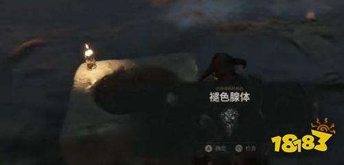致命躯壳2护种人的经文获得方法 致命躯壳2护种人的经文获取攻略