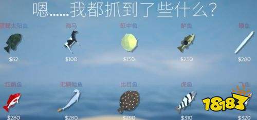 渔力全开全鱼类图鉴一览 渔力全开全鱼类价值介绍