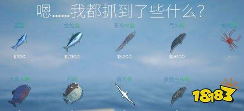 渔力全开全鱼类图鉴一览 渔力全开全鱼类价值介绍