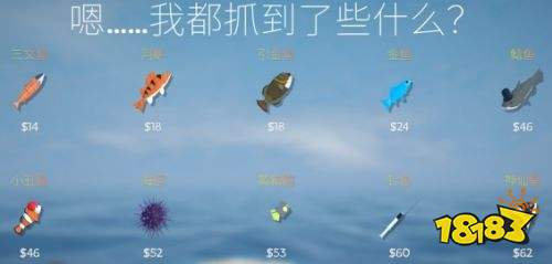 渔力全开全鱼类图鉴一览 渔力全开全鱼类价值介绍